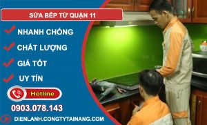 Sửa Bếp Từ Quận 11
