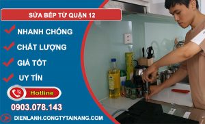 Sửa Bếp Từ Quận 12