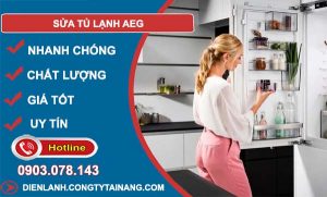 sửa tủ lạnh aeg