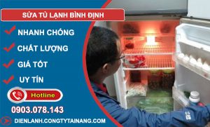 Sửa Tủ Lạnh Bình Định