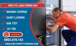 Sửa Tủ Lạnh Tại Đồng Nai