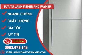 thợ sửa tủ lạnh fisher and paykel
