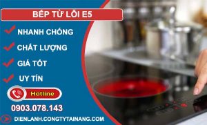 nguyên nhân bếp từ lỗi e5