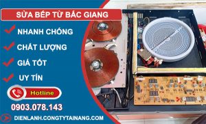Sửa Bếp Từ Bắc Giang