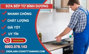 Sửa Bếp Từ Bình Dương