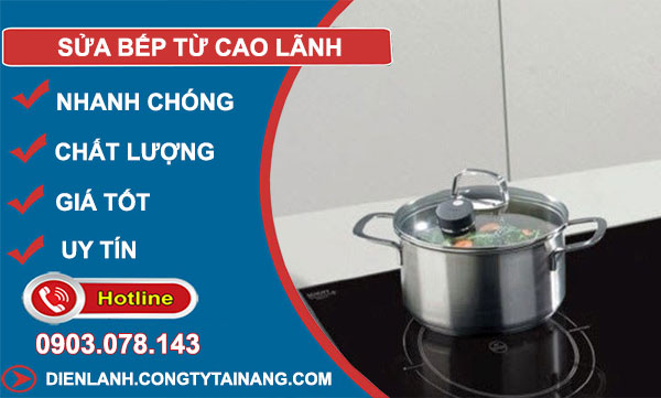 Sửa Bếp Từ Cao Lãnh