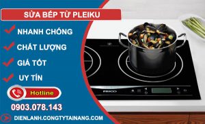 Sửa Bếp Từ Pleiku