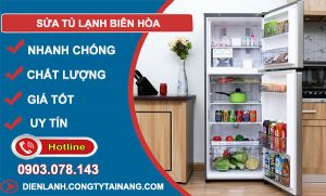 Sửa Tủ Lạnh Biên Hòa