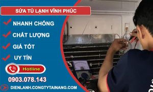 Sửa Tủ Lạnh Tại Vĩnh Phúc