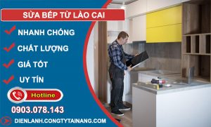 Thợ Sửa Bếp Từ Lào Cai