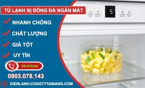 nguyên nhân tủ lạnh bị đông đá ngăn mát