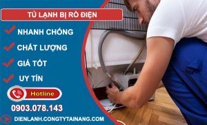 nguyên nhân Tủ lạnh bị rò điện
