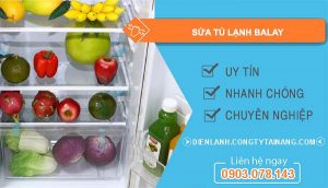 thợ sửa tủ lạnh balay