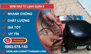 Bơm Gas Tủ Lạnh Quận 9