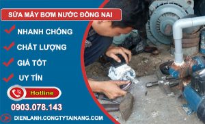 Sửa Máy Bơm Nước Đồng Nai