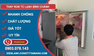 Thay Ron Tủ Lạnh Bình Chánh