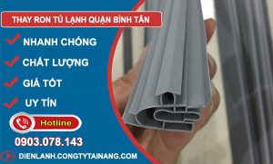 Thay Ron Tủ Lạnh Bình Tân