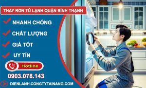 Thay Ron Tủ Lạnh Bình Thạnh