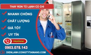 Thay Ron Tủ Lạnh Củ Chi