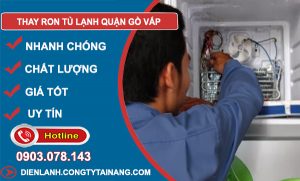 Thay Ron Tủ Lạnh Gò Vấp