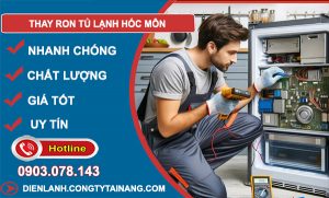 Thay Ron Tủ Lạnh Hóc Môn