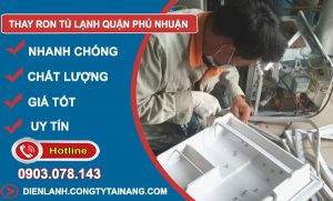 Thay Ron Tủ Lạnh Phú Nhuận