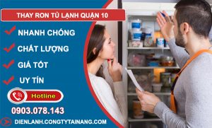 Thay Ron Tủ Lạnh Quận 10
