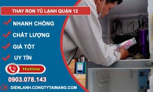 Thay Ron Tủ Lạnh Quận 12