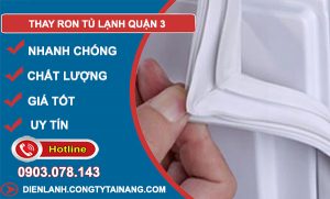 Thay ron tủ lạnh Quận 3