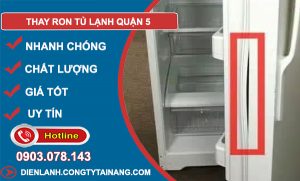 Thay Ron Tủ Lạnh Quận 5