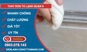 Thay Ron Tủ Lạnh Quận 9