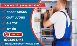 Thay Ron Tủ Lạnh Tại Thủ Đức
