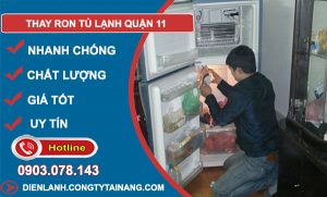 Thợ Thay Ron Tủ Lạnh Quận 11