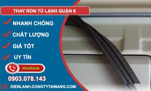 thợ Thay Ron Tủ Lạnh Quận 6