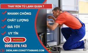 thợ Thay Ron Tủ Lạnh Quận 7