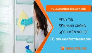 sửa tủ lạnh sanyo bị chảy nước