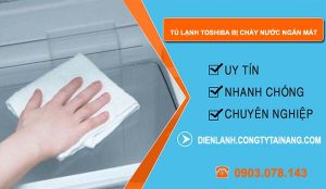 sửa tủ lạnh toshiba bị chảy nước ngăn mát