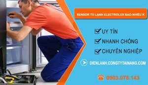 dòng sensor tủ lạnh electrolux bao nhiêu k
