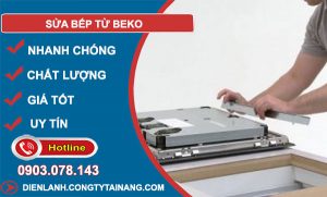 dịch vụ Sửa bếp từ Beko