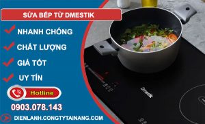 dịch vụ Sửa bếp từ Dmestik