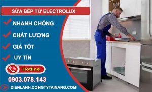 dich vụ Sửa bếp từ Electrolux