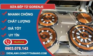 dịch vụ Sửa bếp từ Gorenje