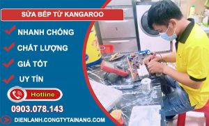 dịch vụ Sửa bếp từ kangaroo