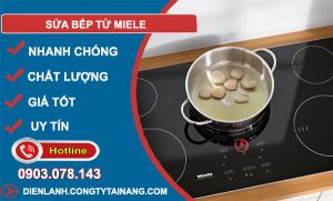dịch vụ Sửa bếp từ Miele