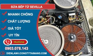 dịch vụ Sửa bếp từ Sevilla