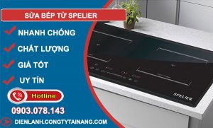dịch vụ Sửa bếp từ Spelier