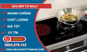 dịch vụ Sửa bếp từ Wolf