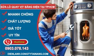 sửa lò quay vịt bằng điện tại tphcm