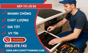 bếp từ lỗi e9