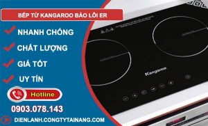 bếp từ kangaroo báo lỗi er